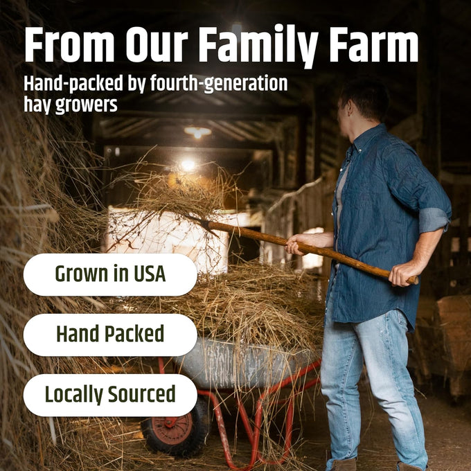 High Desert Alfalfa Hay, Protein Rich, Natural Rabbit Food and Guinea Pig Hay, 1 Lb Box, Soft Leaf for Young Growing Animals