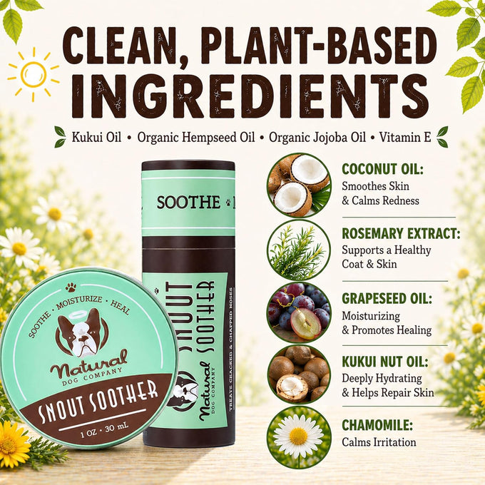 Natural Dog Company Snout Soother Dog Nose Balm for dry, crusty noses with coconut oil & shea butter, lick safe for all breeds - 1 oz tin