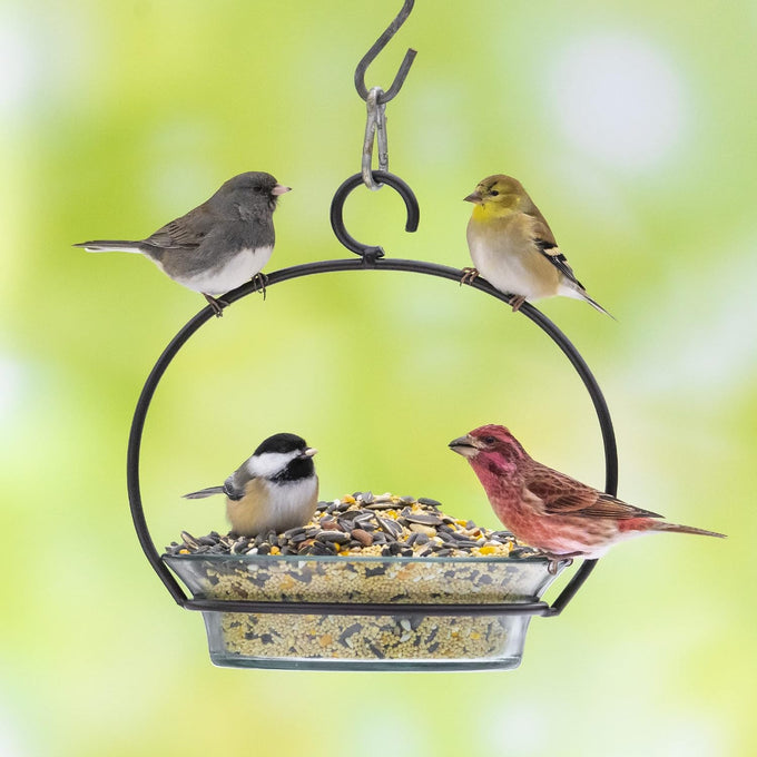 Audubon Park 14-Pound Songbird Blend Bird Food for Outside Feeders and Backyard Wildlife