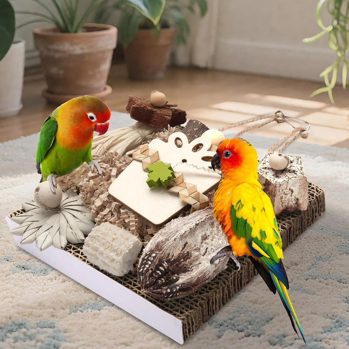 kyouki bird toys medium parakeet parrot conure hanging chewable cardboard foraging suitable budgies cockatiels lovebirds sun conures
