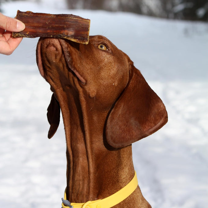 Cadet 100% Beef Strips Dog Treats, Single Ingredient, High Protein Rawhide Alternative for Small & Large Dogs, 8 Ounce