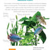 companionhouse-books-aquarium-plants-essential-guide-paperback-2004