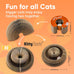 Kitty Kurlz 3-in-1 Cat Toy & Scratcher, Collapsible Ball Track with Bell, Reversible Cardboard Lounge for Indoor Cats