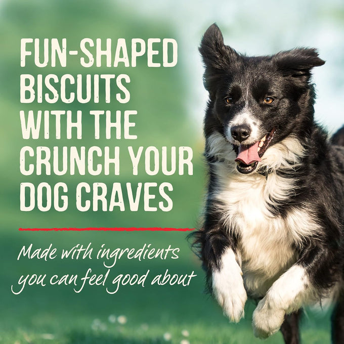 Merrick oven baked, wheat free, pumpkin dog treats, natural, crunchy, 11 oz bag, pumpkin patch