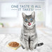 Blue Buffalo Tastefuls Flaked Wet Cat Food with Natural Tuna Entrée in Gravy, 24-5.5oz Cans