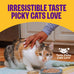Wellness Complete Health Pate Variety Pack Adult Canned Wet Cat Food, Natural, Protein Rich, Grain Free, Chicken and Turkey Favorites, 3 oz, Pack of 24 Cans