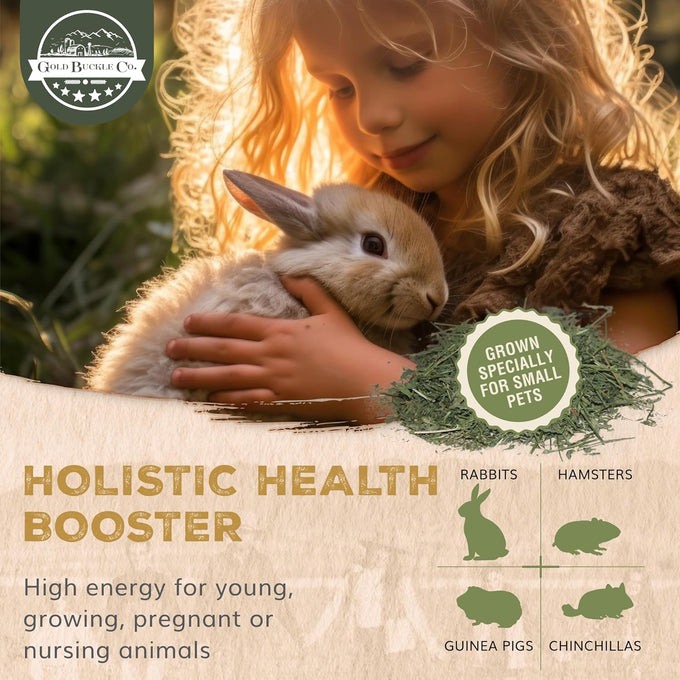 9lb Organic Alfalfa Hay for Small Animals Rich in Protein & Fiber - USA Grown, Hand-Selected, Fresh Dried