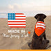 Nylabone Original Bone Power Chew Toy Small Dog Value Pack - Durable Nylon, USA Made, 3 Pack