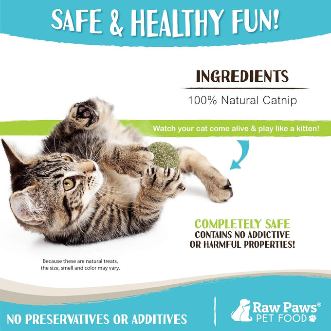 raw paws catnip balls 6-count interactive cat toys for indoor cats catnip licking balls natural all-natural catnip no artificial ingredients