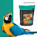 RoudyBush daily maintenance bird food, mini, 10-pound, parrot pellets for conures, lovebirds, and parakeets