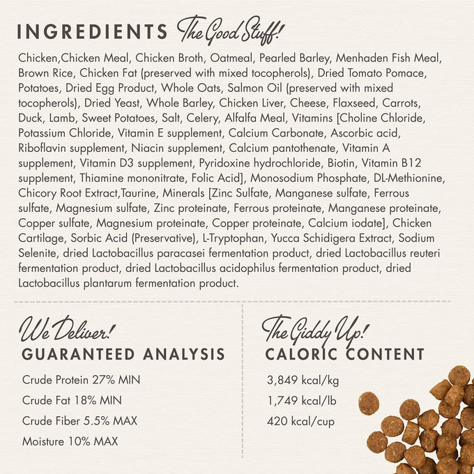 Fromm Puppy Gold Premium Dry Dog Food, Chicken Recipe, 5 lb, Medium & Small Breeds, Family-Owned Facility