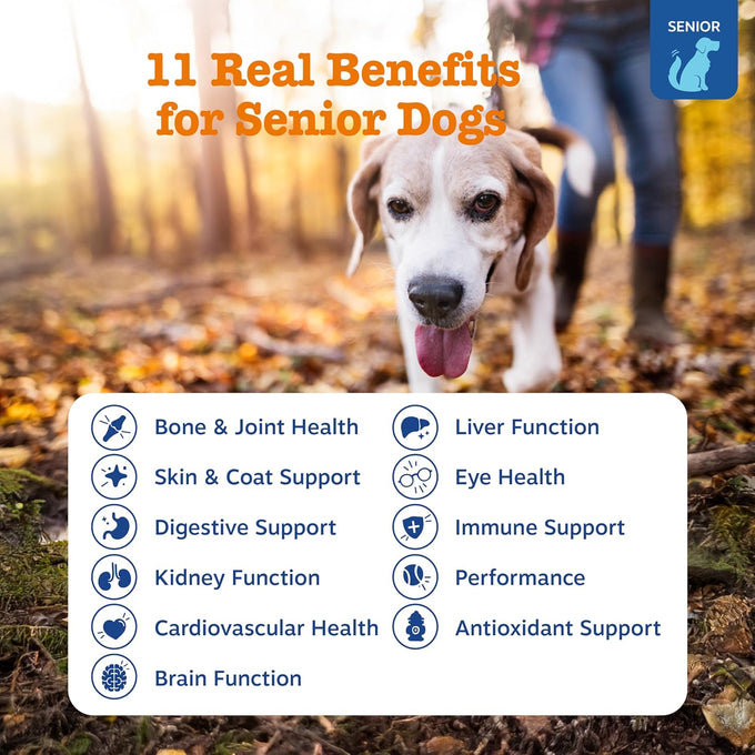Zesty Paws Senior Dog Multivitamin Treats - Grain Free, Glucosamine for Dogs, Digestive Enzymes, Probiotics, and Skin & Coat Suppliments - Beef - Advanced - 90ct