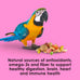Kaytee Fiesta Big Bites macaw food nutritious fun blend supports skin feather digestion brain heart health 10 pounds large premium ingredients