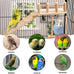 Wooden bird perches platform swing for small birds with climbing ladder, parakeet cage accessories
