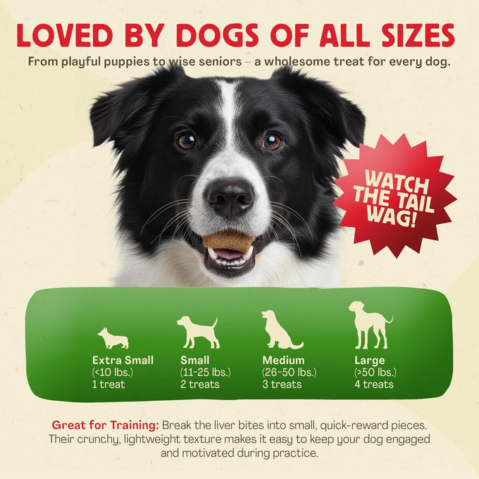 Chewmasters 100% pure beef liver bites freeze-dried dog treats made in usa grain free all natural