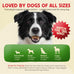 Chewmasters 100% pure beef liver bites freeze-dried dog treats made in usa grain free all natural