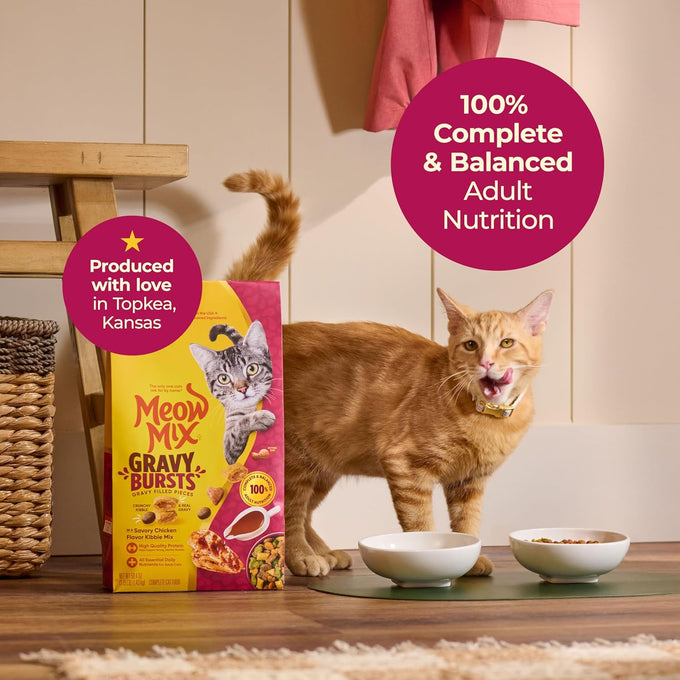 Meow Mix savory chicken flavor gravy bursts dry cat food, 3 lb bag, crunchy kibble with real gravy