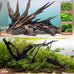 Jorewood natural aquarium driftwood 3-piece set for fish tanks and reptile terrariums, low tannin, 7-11 inch, easy to sink