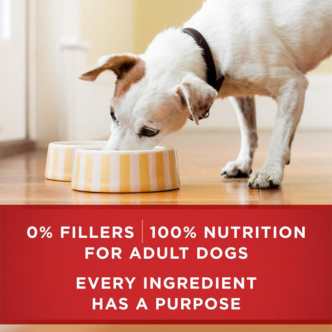 Purina ONE Tender Cuts Wet Dog Food Variety Pack, 12 ct