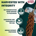 Living World Millet Spray for Birds 3.5 Oz - Premium Treat for Pet Birds and Small Birds
