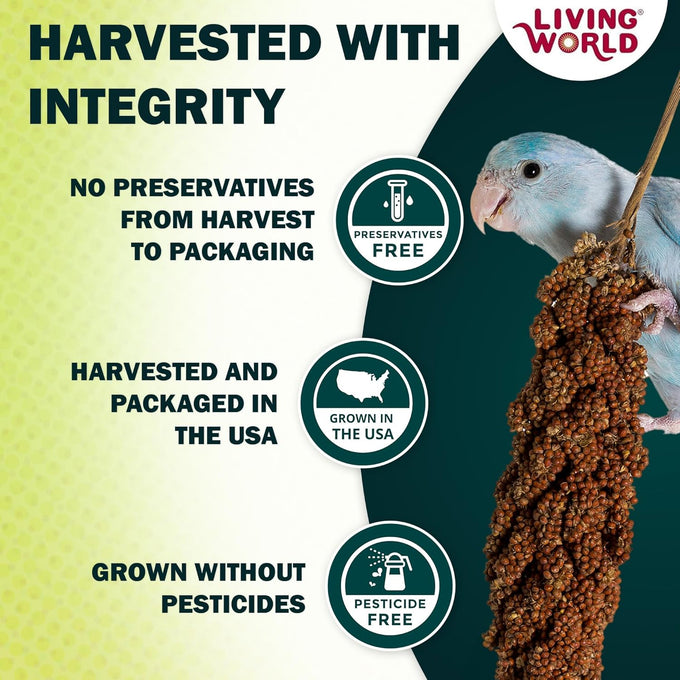 Living World Millet Spray for Birds 3.5 Oz - Premium Treat for Pet Birds and Small Birds
