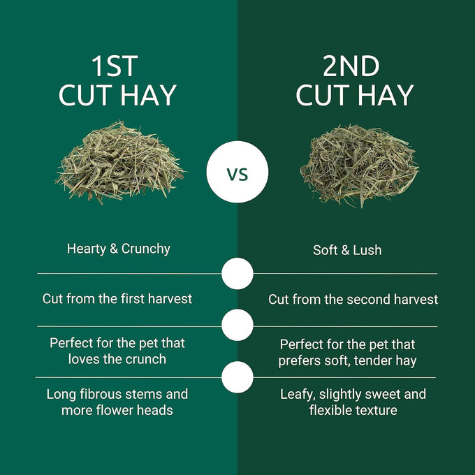 Kaytee 2nd Cut Soft and Lush Timothy Hay, 6.5 lbs, America's Number 1 Hay Brand for Guinea Pigs, Rabbits, and Small Animals