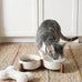 Le Tauci Acacia Wood Stand Dog Bowl Set with 1.5-Cup Ceramic Bowls for Small Dogs and Cats, Non-Slip Base