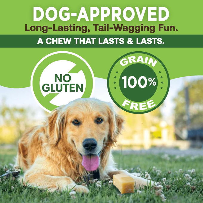 EcoKind Premium Gold Yak Cheese Himalayan Dog Chews for Small Dogs, High Protein, All Natural, Long-Lasting Chew
