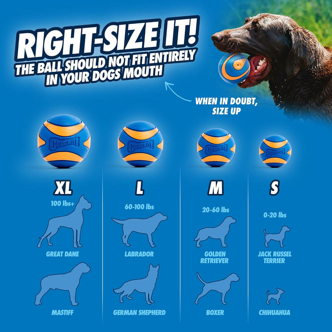 Chuckit! Ultra Squeaker Balls for Medium Dogs, Durable Rubber, Floating Water Pet Toys, Pack of 2, 2.5" Diameter