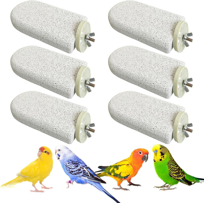 pinvnby 4-piece bird perch stands for small to medium parrots, cockatiels, lovebirds, conures, and finches