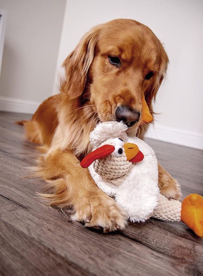 goDog Checkers Fat Rooster Squeaky Plush Dog Toy with Chew Guard Technology - White, Large Model, Soft and Durable Design