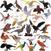 24-piece realistic bird figurines set with varied species and decorative uses for kids and collectors