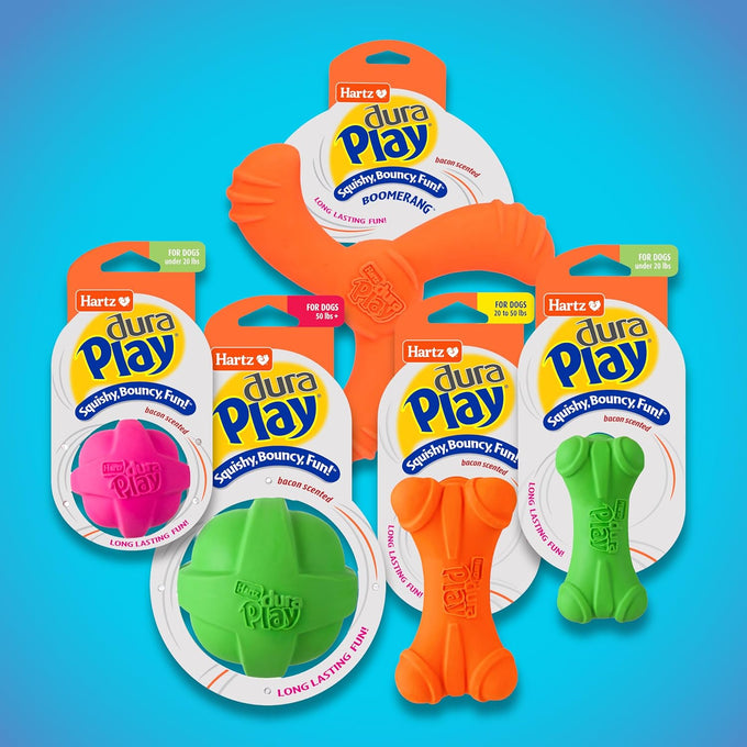 Hartz DuraPlay Bacon Scented Small Dog Toys, Assorted Color, Durable Latex and Foam, Squeaker