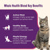 Nutrish Grain Free Ocean Lover's Whole Health Blend Variety Pack Wet Cat Food, 2.8 oz. Cup, 12 Count (Rachael Ray)