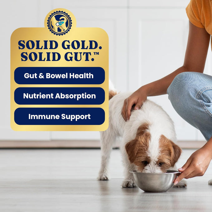 Solid Gold Chicken Wet Dog Food - High Protein, Gut Health