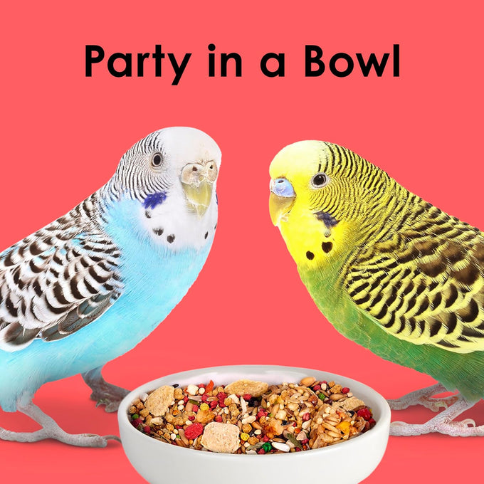 Kaytee Fiesta Parakeet Food, 2 pounds, Nutritious and Fun Blend for Skin, Feather, Digestion, Brain, and Heart Health