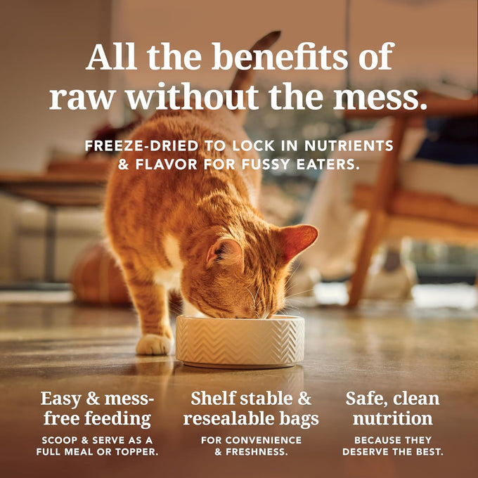 New Zealand made feline dry cat food with 98% high protein meat, organs, & seafood, grain-free, no artificial additives, beef, 11oz