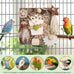 kyouki bird toys medium parakeet parrot conure hanging chewable cardboard foraging suitable budgies cockatiels lovebirds sun conures