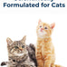 PetAg Cat-Sip 8 oz, 12 Pack - Ready-to-Feed Lactose-Free Milk Snack for Cats & Kittens