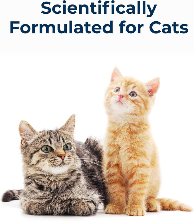 PetAg Cat-Sip 8 oz, 12 Pack - Ready-to-Feed Lactose-Free Milk Snack for Cats & Kittens