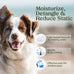 blue ribbon dog perfume spray, 1-pack, probiotic, alcohol-free, detangling & moisturizing