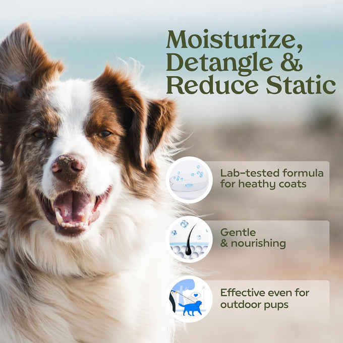 blue ribbon dog perfume spray, 1-pack, probiotic, alcohol-free, detangling & moisturizing