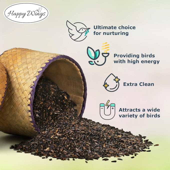 Happy Wings Nyjer/Thistle seeds 10 pounds no grow bird seed for wild finches and songbirds