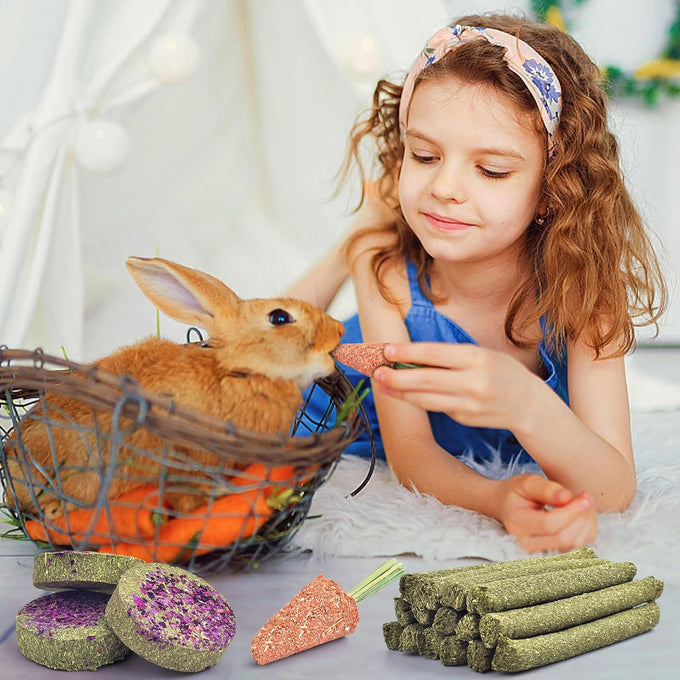 KATUMO 24PCS natural rabbit chew treats, timothy hay sticks, carrot sticks, healthy bunny toys, small animal chews