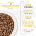 Tiki Cat Born Carnivore high protein indoor chicken and turkey grain-free kibble for cats 3 lb bag