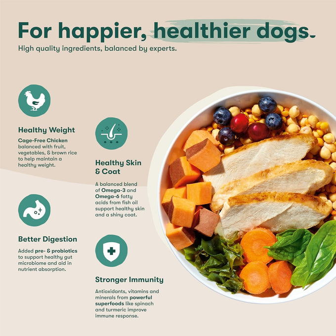 Jinx Premium Grain-Free Dry Dog Food - Real Chicken, Sweet Potato & Carrot