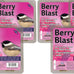 Heath Outdoor Products berry blast suet cakes 3 pack for woodpeckers cardinals and many more wild bird species