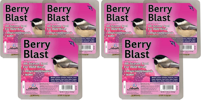 Heath Outdoor Products berry blast suet cakes 3 pack for woodpeckers cardinals and many more wild bird species