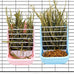 hamiledyi 2 in 1 hay feeder rack for rabbits guinea pigs chinchillas pink blue