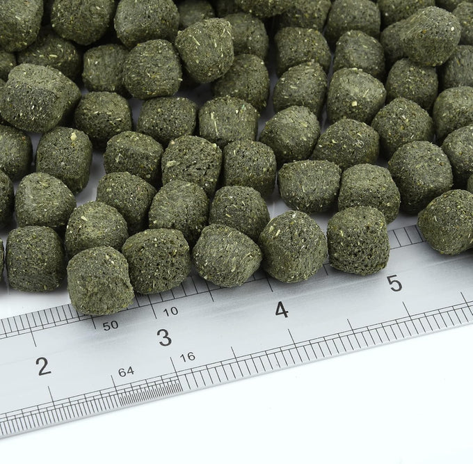 Timothy Hay Cubes 10 oz small timothy grass pellets for tortoise rabbit guinea pig chinchilla